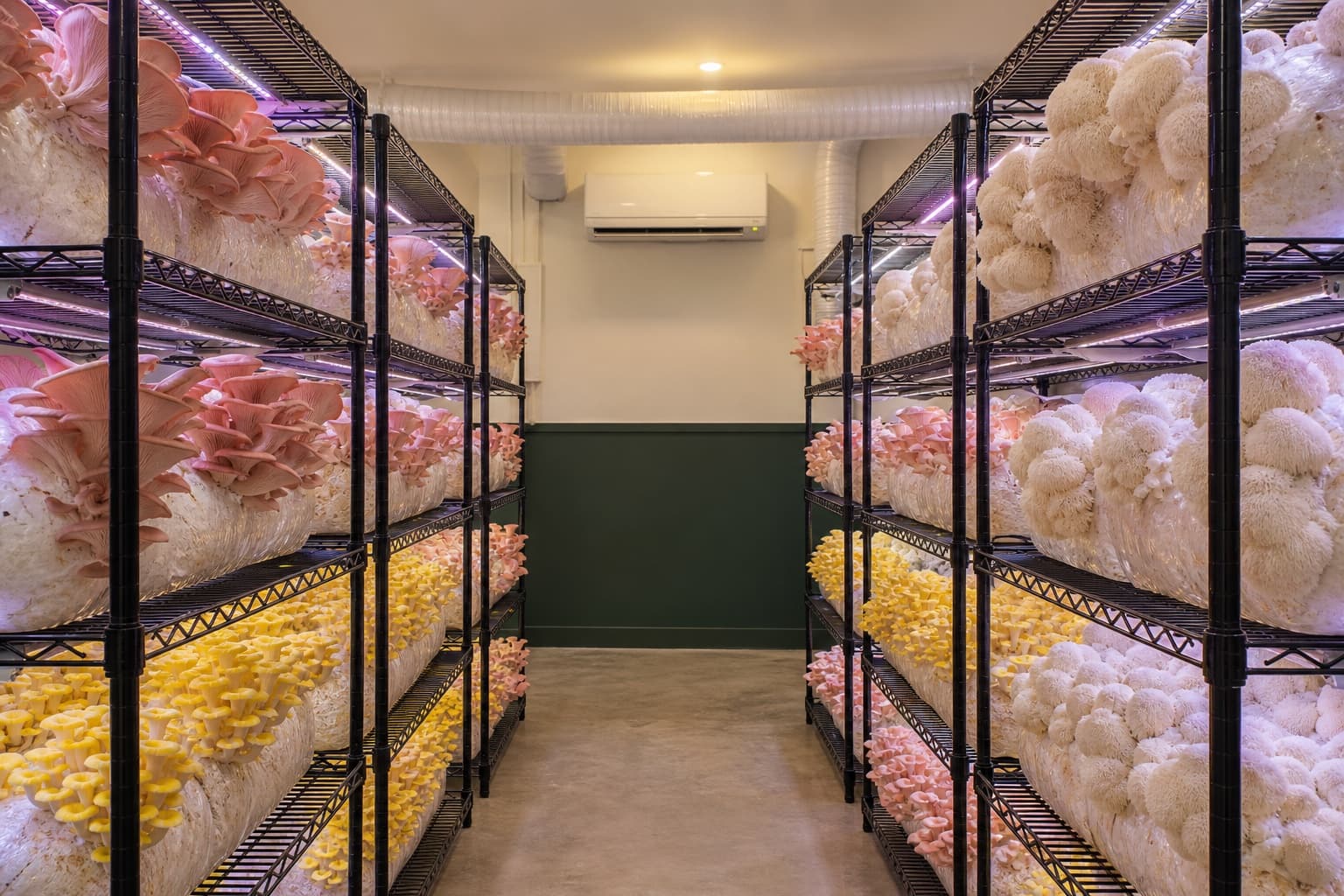 Render of the Shroomy concept indoor mushroom farm grow chamber